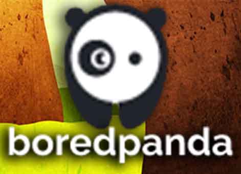 Boder Panda